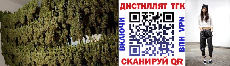 ТГК THC oil  Купить закладки  Котельниково 